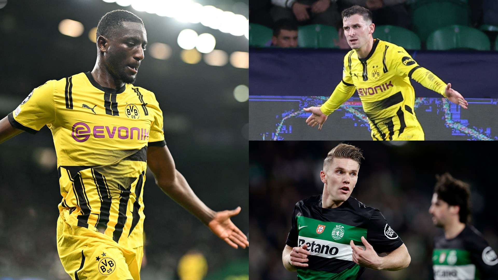 的拼搏精神 的拼搏精神